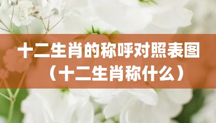 十二生肖的称呼对照表图（十二生肖称什么）