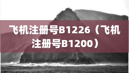 飞机注册号B1226（飞机注册号B1200）