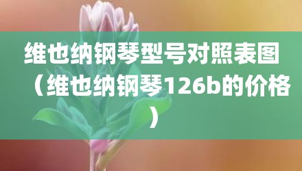 维也纳钢琴型号对照表图（维也纳钢琴126b的价格）