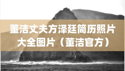 董洁丈夫方泽廷简历照片大全图片(董洁官方)
