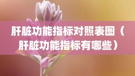 肝脏功能指标对照表图（肝脏功能指标有哪些）