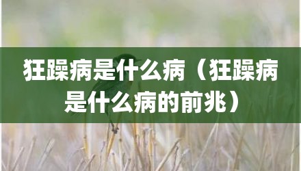 狂躁病是什么病（狂躁病是什么病的前兆）