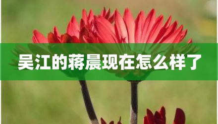 吴江的蒋晨现在怎么样了
