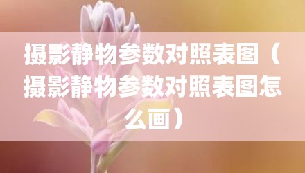 摄影静物参数对照表图（摄影静物参数对照表图怎么画）