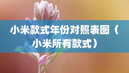 小米款式年份对照表图（小米所有款式）