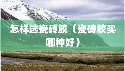 怎样选瓷砖胶（瓷砖胶买哪种好）