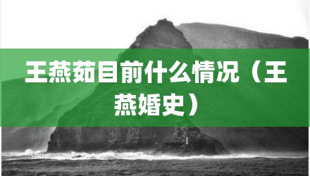 王燕茹目前什么情况（王燕婚史）