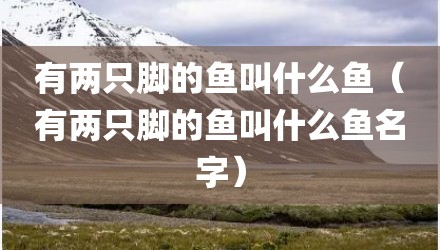 有两只脚的鱼叫什么鱼（有两只脚的鱼叫什么鱼名字）