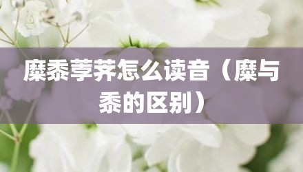糜黍荸荠怎么读音(糜与黍的区别)
