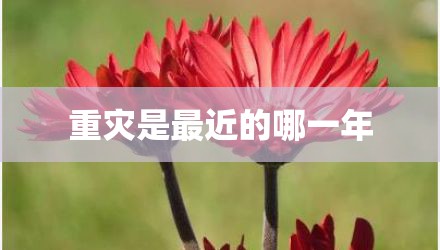 重灾是最近的哪一年