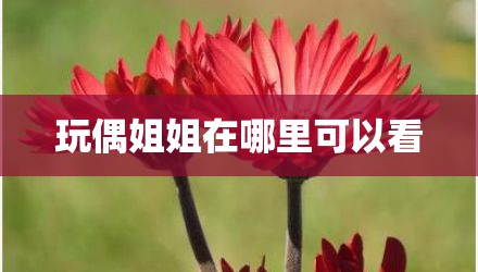 玩偶姐姐在哪里可以看