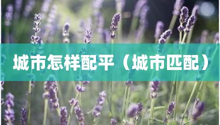 城市怎样配平（城市匹配）