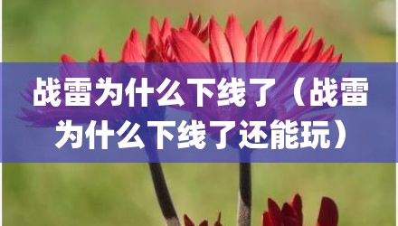 战雷为什么下线了(战雷为什么下线了还能玩)