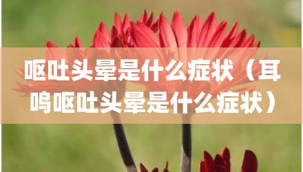 呕吐头晕是什么症状（耳鸣呕吐头晕是什么症状）