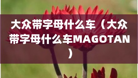 大众带字母什么车（大众带字母什么车MAGOTAN）