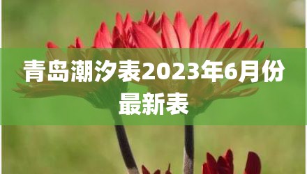 青岛潮汐表2023年6月份最新表