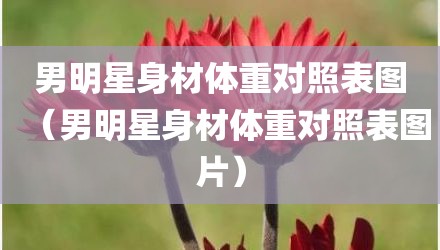男明星身材体重对照表图（男明星身材体重对照表图片）