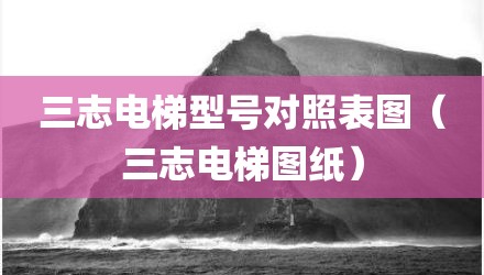三志电梯型号对照表图（三志电梯图纸）