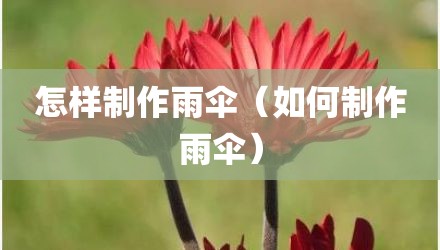 怎样制作雨伞（如何制作雨伞）