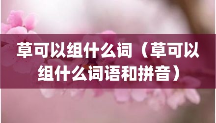 草可以组什么词（草可以组什么词语和拼音）