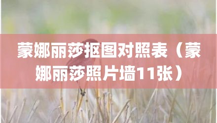 蒙娜丽莎抠图对照表（蒙娜丽莎照片墙11张）