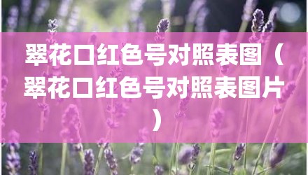 翠花口红色号对照表图（翠花口红色号对照表图片）