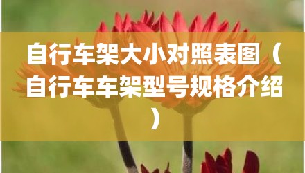 自行车架大小对照表图（自行车车架型号规格介绍）