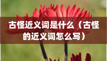 古怪近义词是什么（古怪的近义词怎么写）