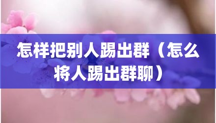 怎样把别人踢出群（怎么将人踢出群聊）