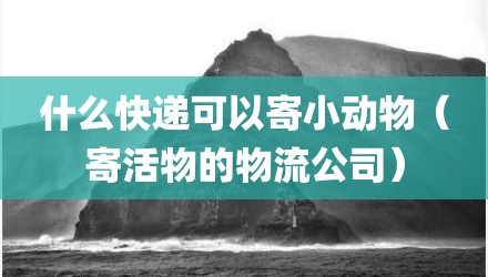 什么快递可以寄小动物（寄活物的物流公司）