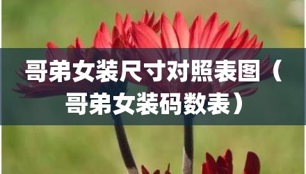 哥弟女装尺寸对照表图（哥弟女装码数表）
