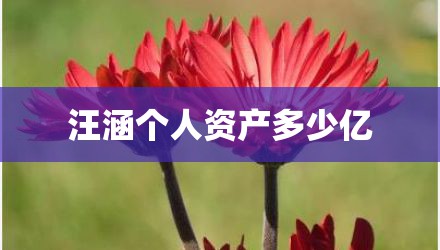 汪涵个人资产多少亿