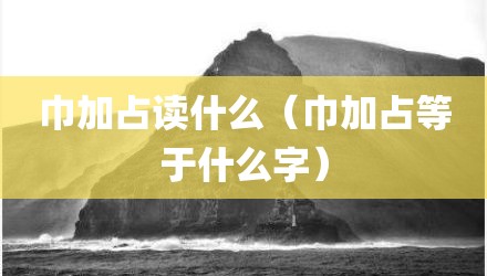 巾加占读什么（巾加占等于什么字）