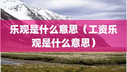 乐观是什么意思（工资乐观是什么意思）