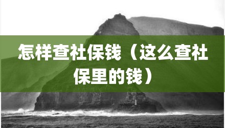 怎样查社保钱（这么查社保里的钱）