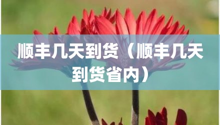 顺丰几天到货（顺丰几天到货省内）