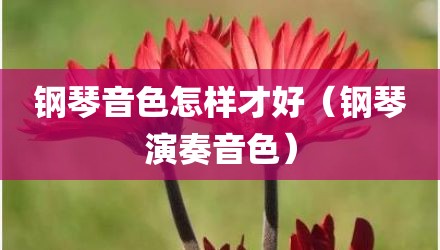 钢琴音色怎样才好（钢琴演奏音色）