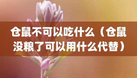 仓鼠不可以吃什么（仓鼠没粮了可以用什么代替）