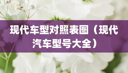 现代车型对照表图（现代汽车型号大全）
