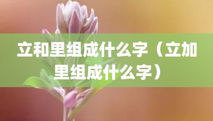 立和里组成什么字（立加里组成什么字）