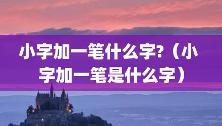 小字加一笔什么字?(小 字加一笔是什么字)