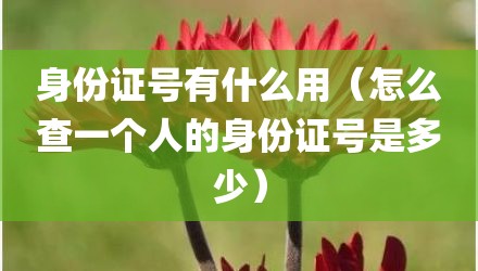 身份证号有什么用（怎么查一个人的身份证号是多少）