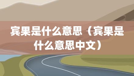 宾果是什么意思（宾果是什么意思中文）