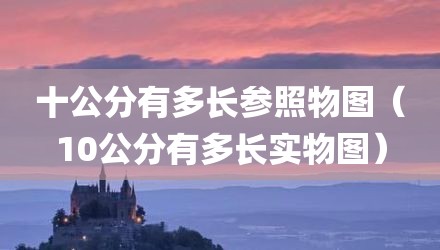 十公分有多长参照物图(10公分有多长实物图)