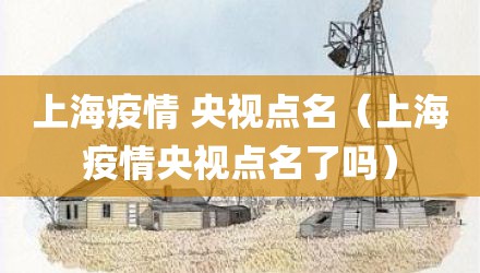上海疫情 央视点名（上海疫情央视点名了吗）