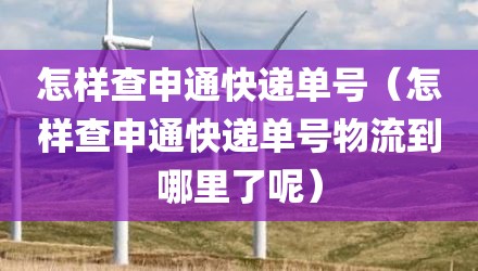 怎样查申通快递单号(怎样查申通快递单号物流到哪里了呢)