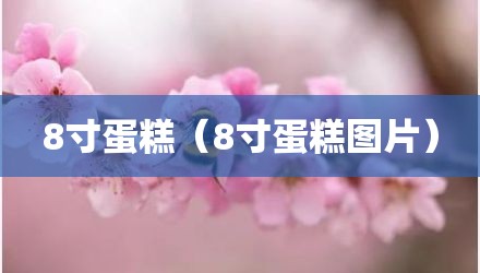 8寸蛋糕(8寸蛋糕图片)