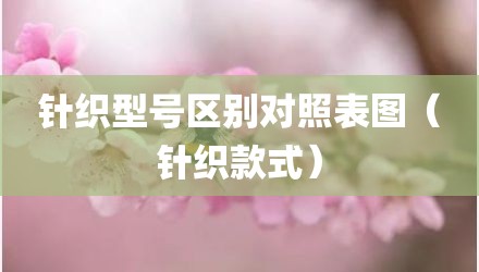 针织型号区别对照表图（针织款式）