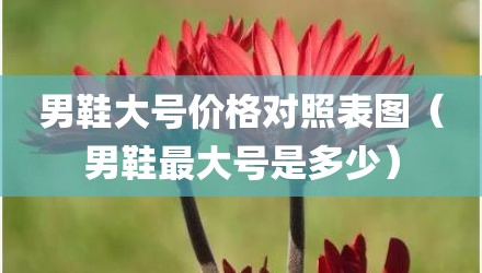 男鞋大号价格对照表图(男鞋最大号是多少)