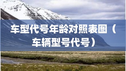 车型代号年龄对照表图（车辆型号代号）